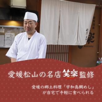 愛媛県産 宇和海鯛めし 2人前 × 2パック ( 4人前 )  宇和島風 鯛めし 愛媛 松山 グルメ 魚 鯛 ごはん