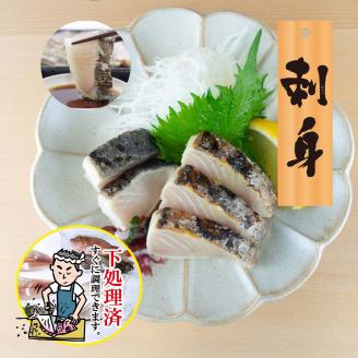 【嶋矢水産】 瀬戸内の鮮魚 直送便 下処理済み 産地直送 10000円 台 二人前 刺身 煮魚 焼き魚 瀬戸内海 愛媛 松山 老舗 魚 人気