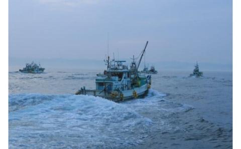 【 数量限定 】釜揚げ しらす 600g ( 100g × 6P ) 冷凍 小分け 釜揚しらす 魚 常備品 しらす丼 しらすパスタ 小分け しらす 愛媛県 松山市