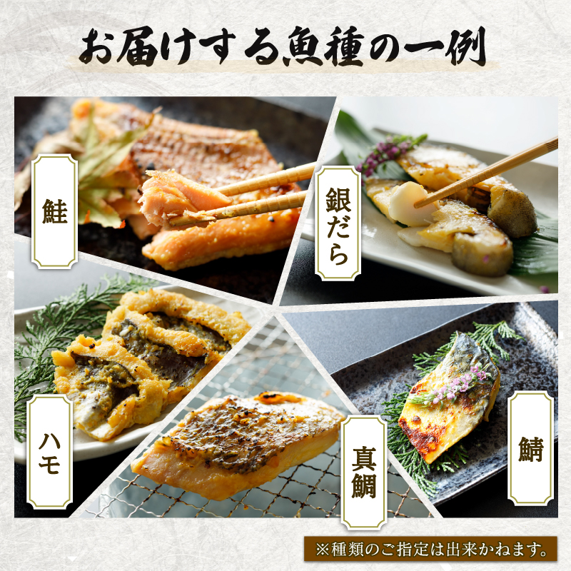 訳あり 西京漬け 6種セット 銀だら西京漬け 鮭西京漬け ハモ西京漬け 真鯛西京漬け 鯖西京漬け