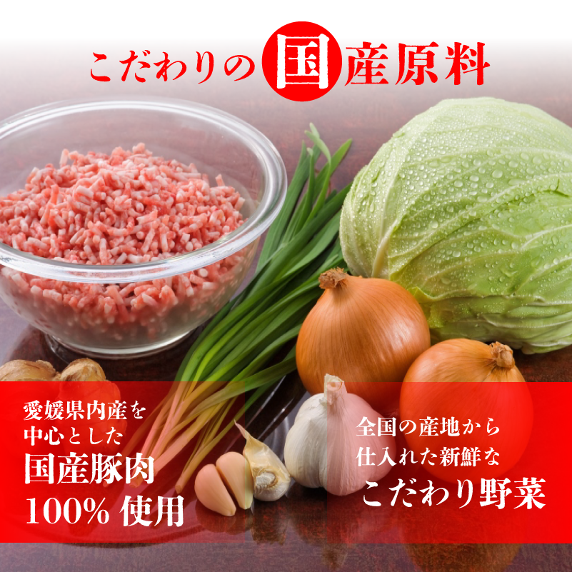 もち〇生餃子 【25個入×5パック 計125個】 冷凍餃子 国産豚肉