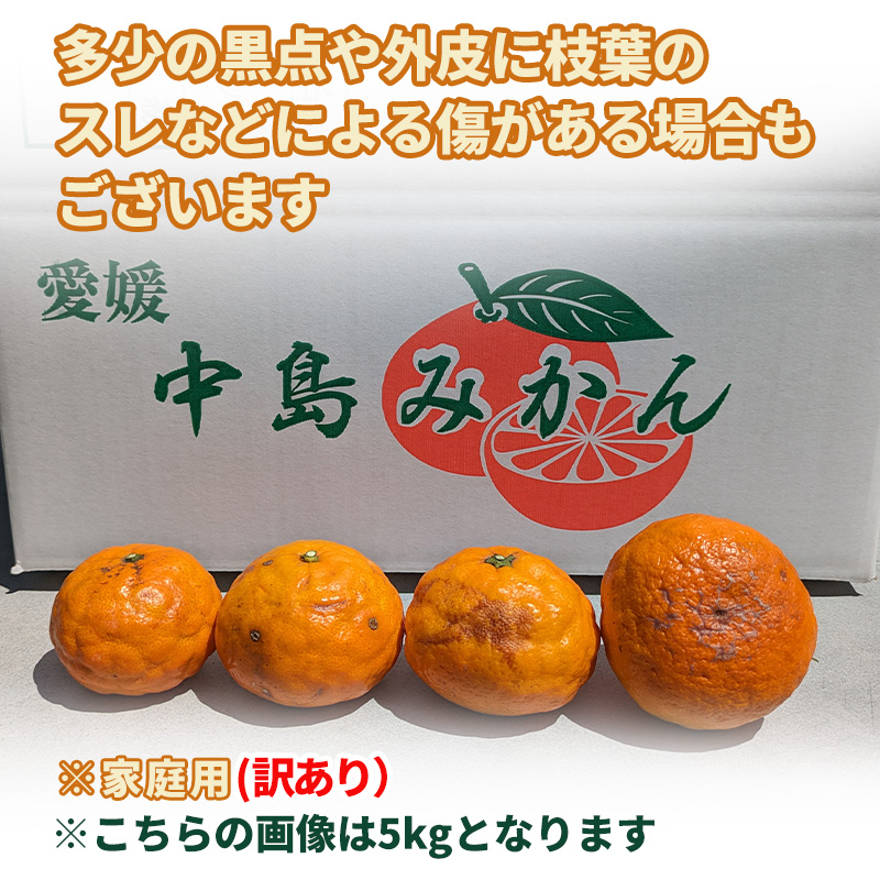 【5月から発送】春 みかん カラマンダリン 家庭用 2.5kg｜みかん 蜜柑 旬 わけあり 訳あり 甘い 柑橘 果物 フルーツ 糖度 愛媛 松山 2.5kg