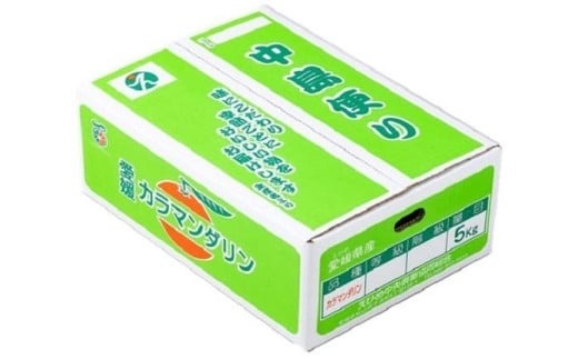 【先行受付】JAえひめ中央 ☆100セット限定☆JA特選品 カラマンダリン 秀品 S～2L 約5kg 数量限定 おすすめ 人気