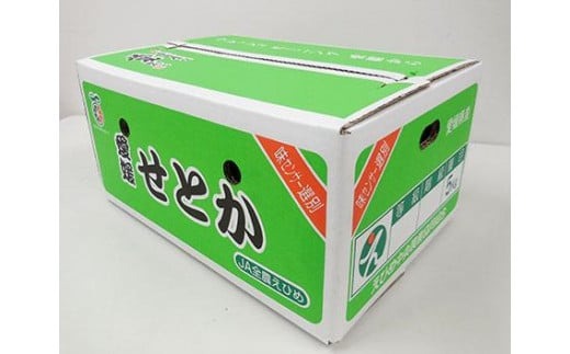 【先行受付】 JAえひめ中央 ★300セット限定★ JA特選品 せとか5kg 赤秀・青秀 いずれかL～3L
