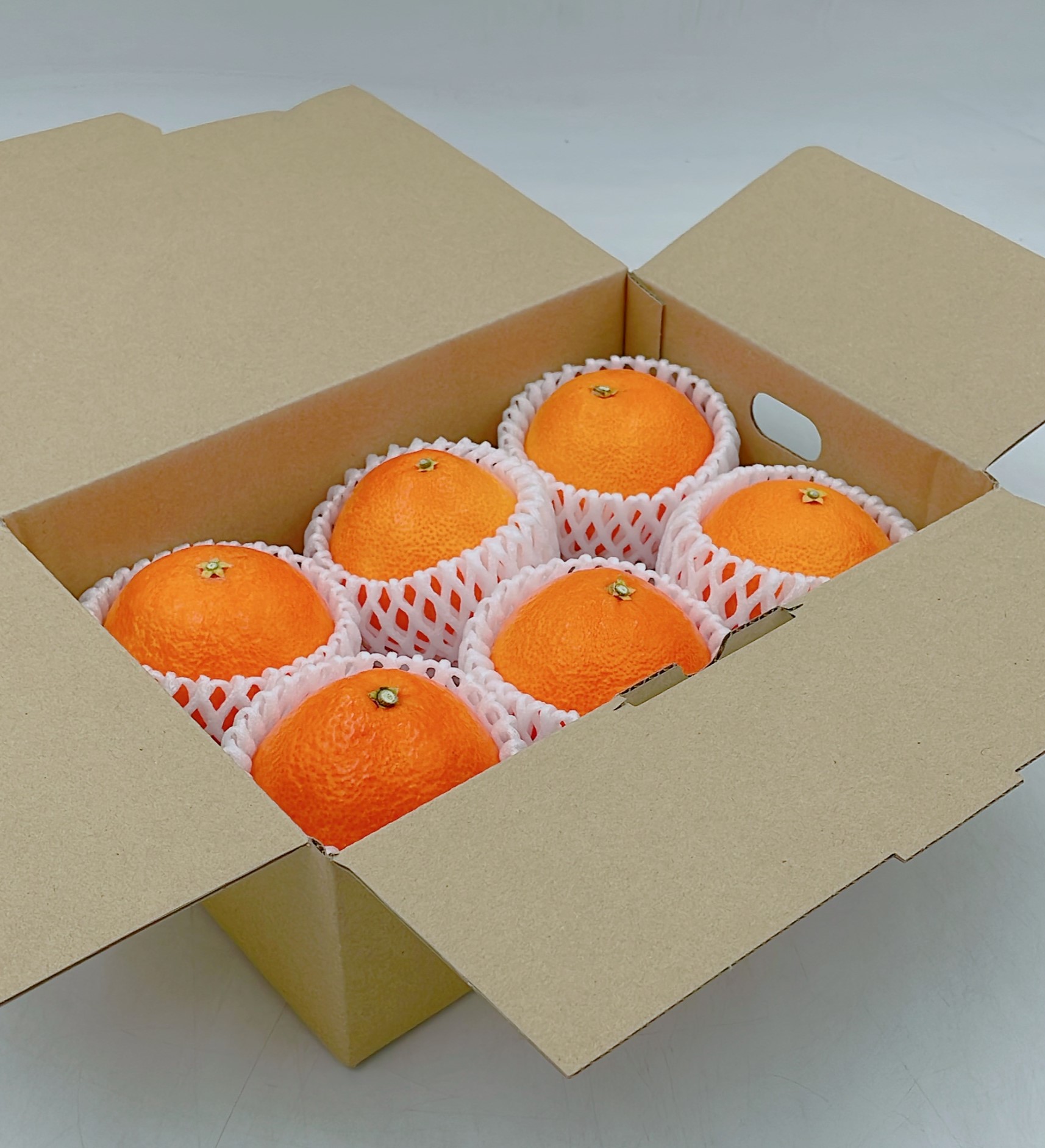 【11月下旬から発送】  紅まどんな1箱（5から6個入り）