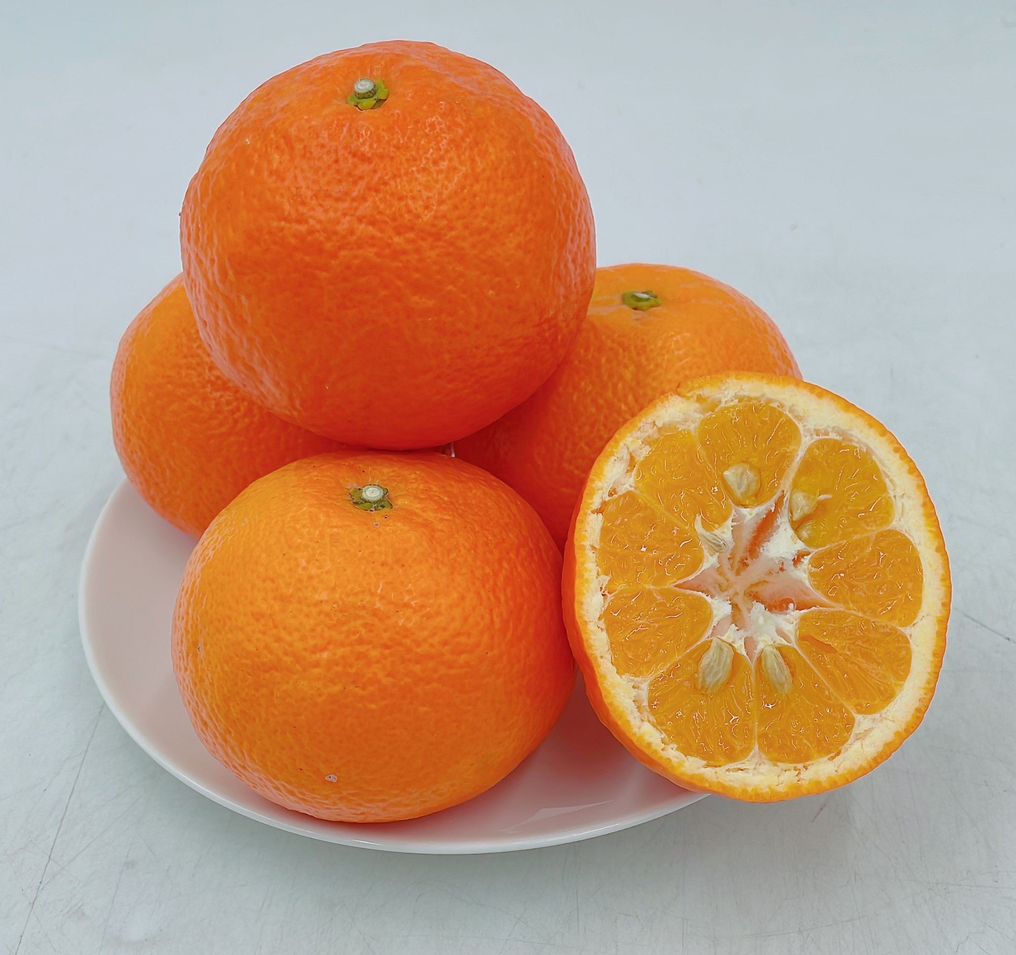 【発送は1月下旬から】 松山市中島産 伊予柑 Lから2Lサイズ 5kg