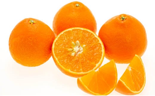 【発送は11月下旬から】 松山市産 愛果28号 L～3L