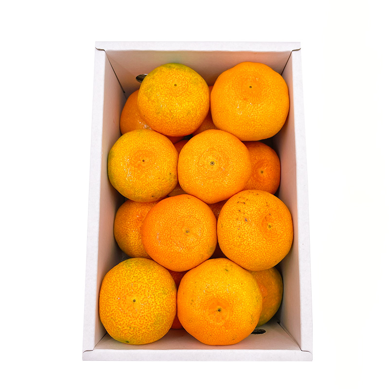 【先行予約】 8月下旬から発送 ハウスみかん 2SからSサイズ 1.0kg （愛媛県産 みかん 蜜柑 オレンジ 柑橘 果物 フルーツ 家庭用 お取り寄せ おすすめ 愛媛県 松山市 ） 1kg