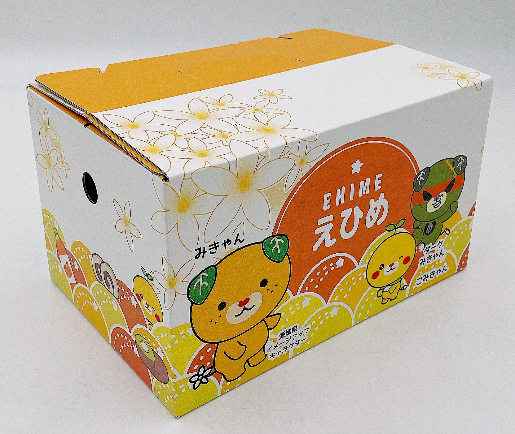 【11月上旬から発送】中島産 レモン M～L 2.5kg