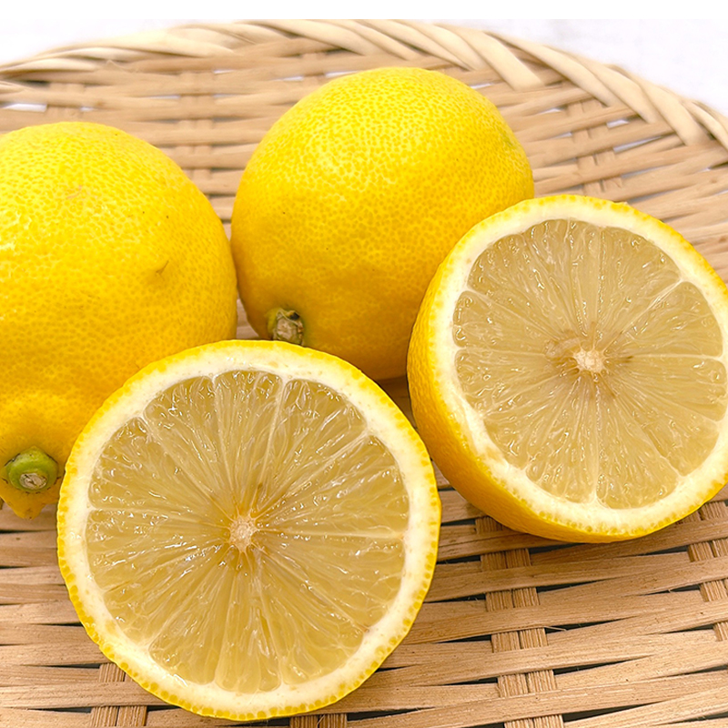 【11月上旬から発送】中島産 レモン M～L 2.5kg