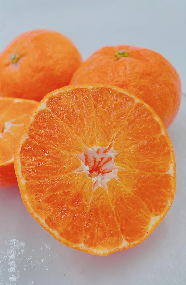 【発送は1月下旬から】 松山市中島産 甘平 秀品　5～6個入り