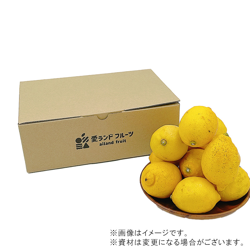 【11月上旬より発送】中島産 レモン M から L サイズ 約1.5kg