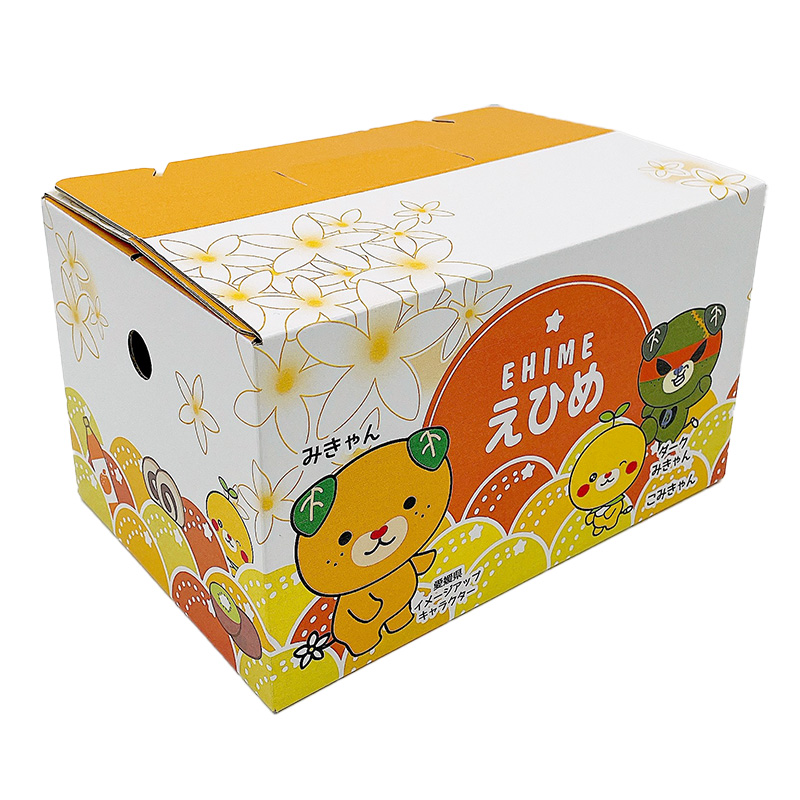 愛媛県産 紅プリンセス L～3Lサイズ 2.5kg （ 国産 愛媛みかん 愛媛ミカン みかん ミカン mikan 蜜柑 柑橘 フルーツ 果物 くだもの お取り寄せ 産地直送 数量限定 人気 おすすめ 愛媛県 松山市 送料無料 フジ・アグリフーズ ）