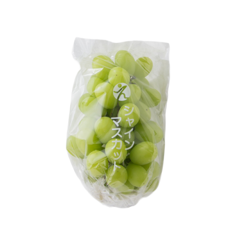 【先行予約】★8月下旬から発送★ 松山市産 シャインマスカット 1房 ピオーネ 1房のセット 計900g ぶどう 葡萄 フルーツ 果物 産地直送  期間限定 先行予約 くだもの ぶどう 葡萄 ブドウ 大粒 おすすめ 人気 旬 フルーツ