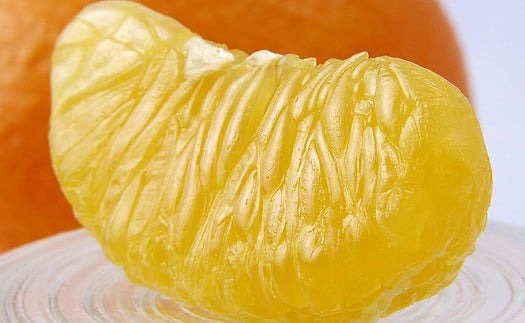 伊予柑 4kg 【2026年1月下旬から発送予定】  愛媛 中島産 果物 フルーツ 柑橘 みかん ミカン 愛媛 旬 希望の島