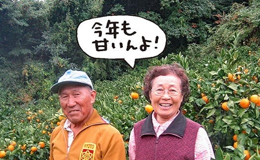 【2026年2月中旬から発送予定】 希望の島 欲張りセット 柑橘 定期便 3回（2月・3月・4月お届け）果物 フルーツ 柑橘 みかん ミカン 愛媛 旬 【希望の島】