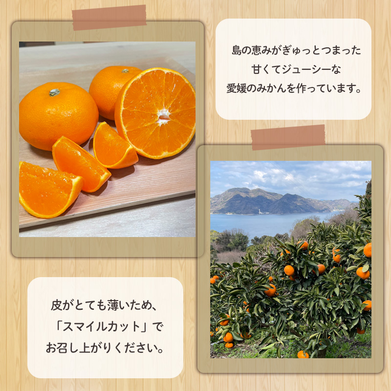 【先行予約】せとか 訳あり 約3kg