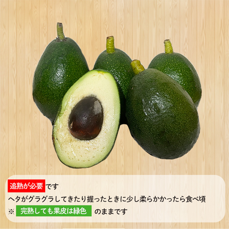 【先行予約】アボカド 国産 家庭用 除草剤 不使用 約 900g