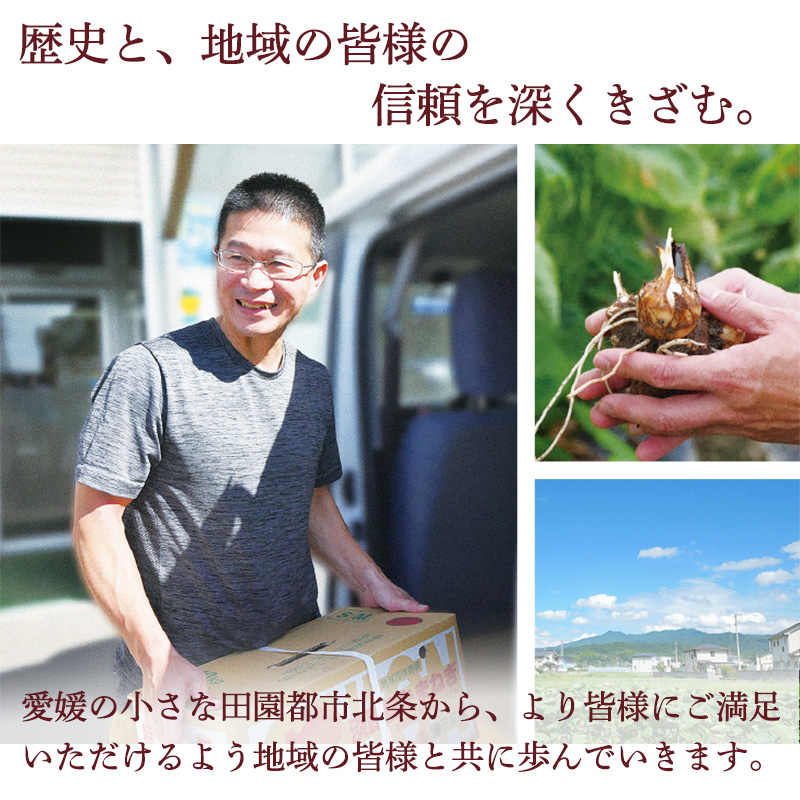 玉ねぎ 約 5kg 約5kg