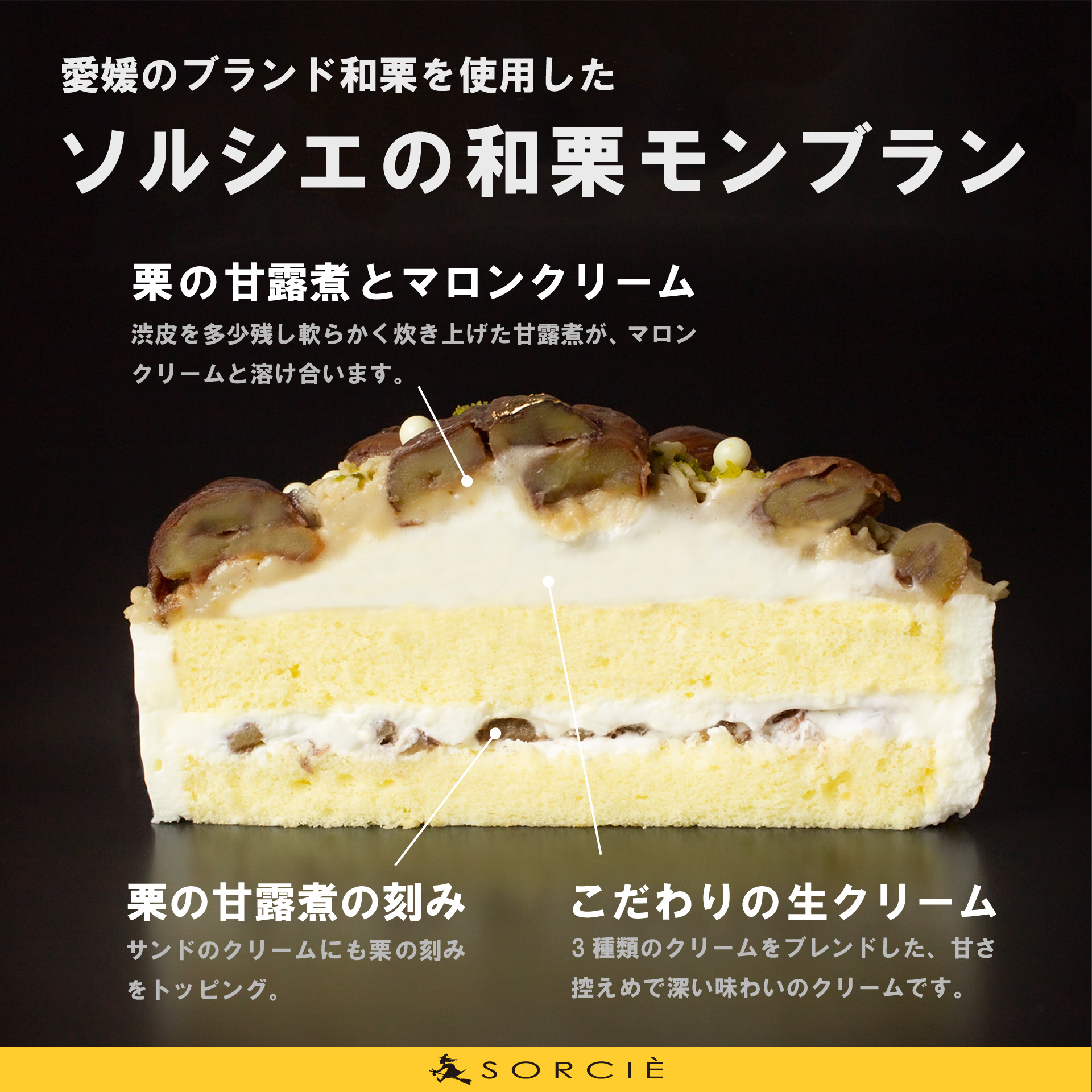 魔法洋菓子店ソルシエ 和栗モンブランケーキ 5号【直径16cm：4～6人分】 5号【ローソクのみ】