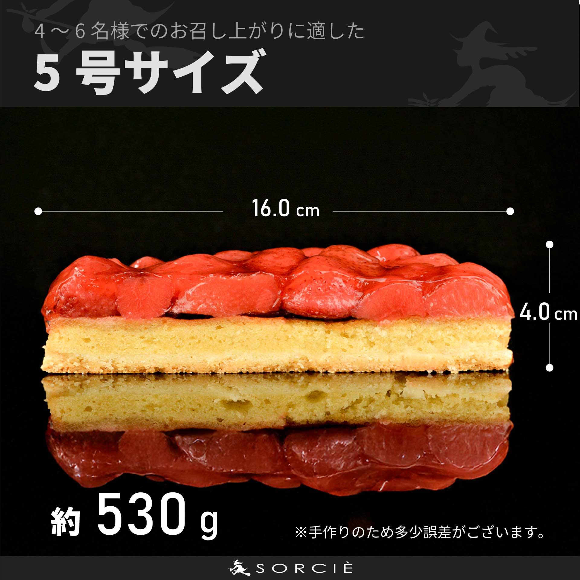 【着日指定可】誕生日ケーキ 苺 のコンポート タルトケーキ 5号 直径16cm 4人～6人分 530g 【バースデー飾り付】 スイーツ ギフト いちご | デザート ケーキ お菓子 洋菓子 冷凍 着日指定 お誕生日 誕生日 ギフト お祝い 愛媛県 松山市 5号【バースデー飾り付】