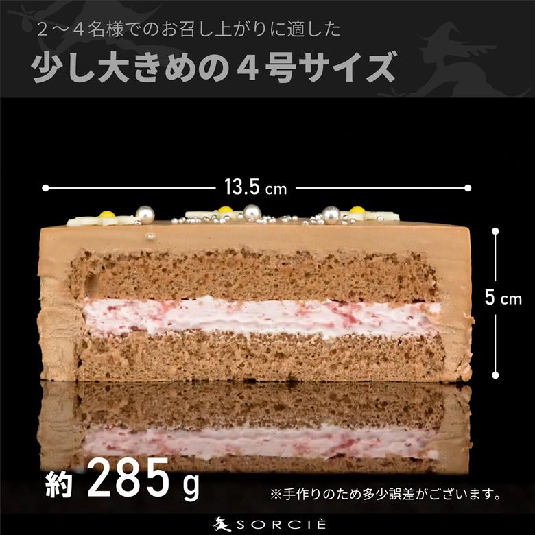 【着日指定可】クリスマスケーキ センイルケーキ  4号 直径13.5cm 2人～4人分 285g 【クリスマス飾り付】【チョコレートクリーム】 スイーツ ギフト | デザート ケーキ お菓子 洋菓子 冷凍 着日指定 お誕生日 誕生日 ギフト お祝い 愛媛県 松山市 チョコレートクリーム