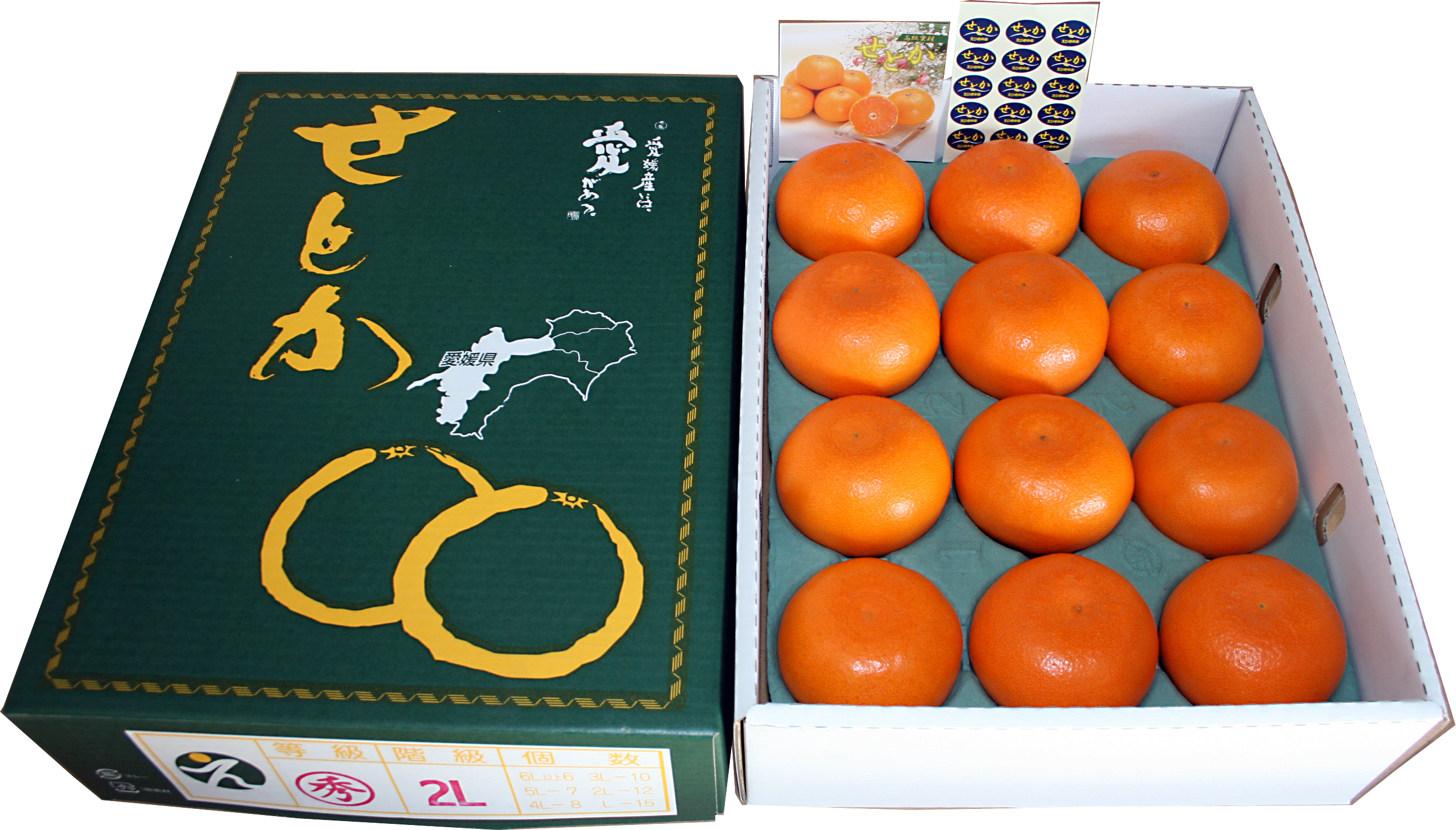 【2月上旬から発送】愛媛県産　せとか10~15玉　約2.7kg