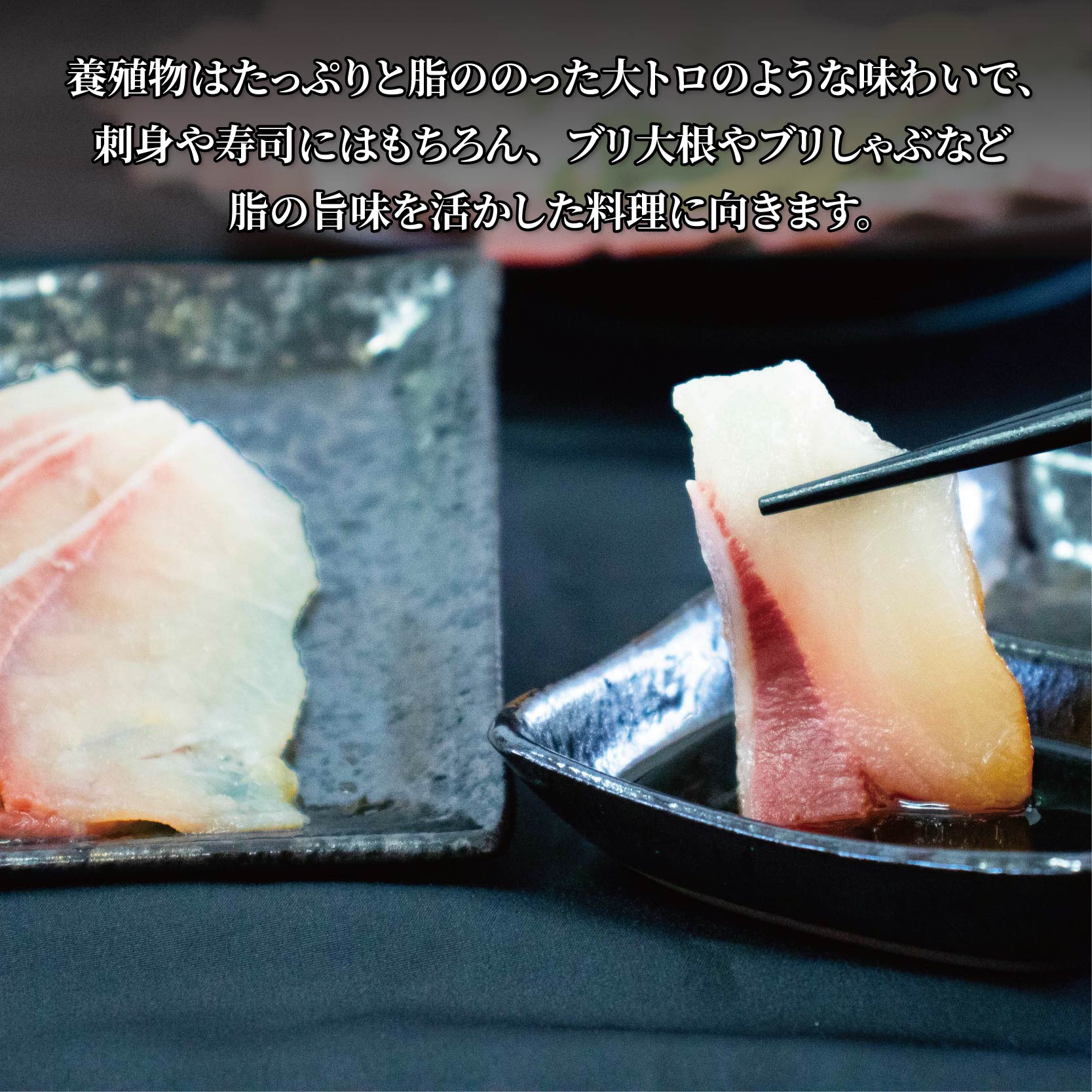 活じめ！神経抜き！ぶりフィレ半身1枚 鮮魚 刺身 お刺身 お刺し身 魚介 海の幸 冷蔵 ブリ 鰤 ぶり 愛媛県 松山市 半身1枚