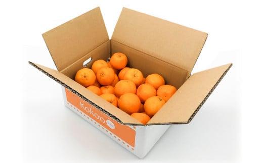 【2026年4月上旬頃から発送予定】カラマンダリン 家庭用(優品) 約3kg