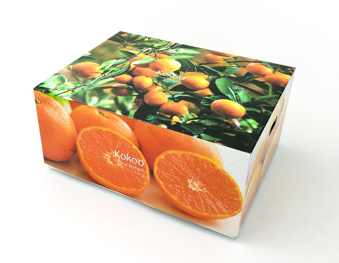 【先行予約】【2026年2月中旬から発送予定】はるか ＜秀品＞ 2.5kg (M-Lサイズ) ギフトBOX入り | みかん はるか 秀品 はるか 柑橘 贈答箱 愛媛県 松山市 ココオ Koko'o