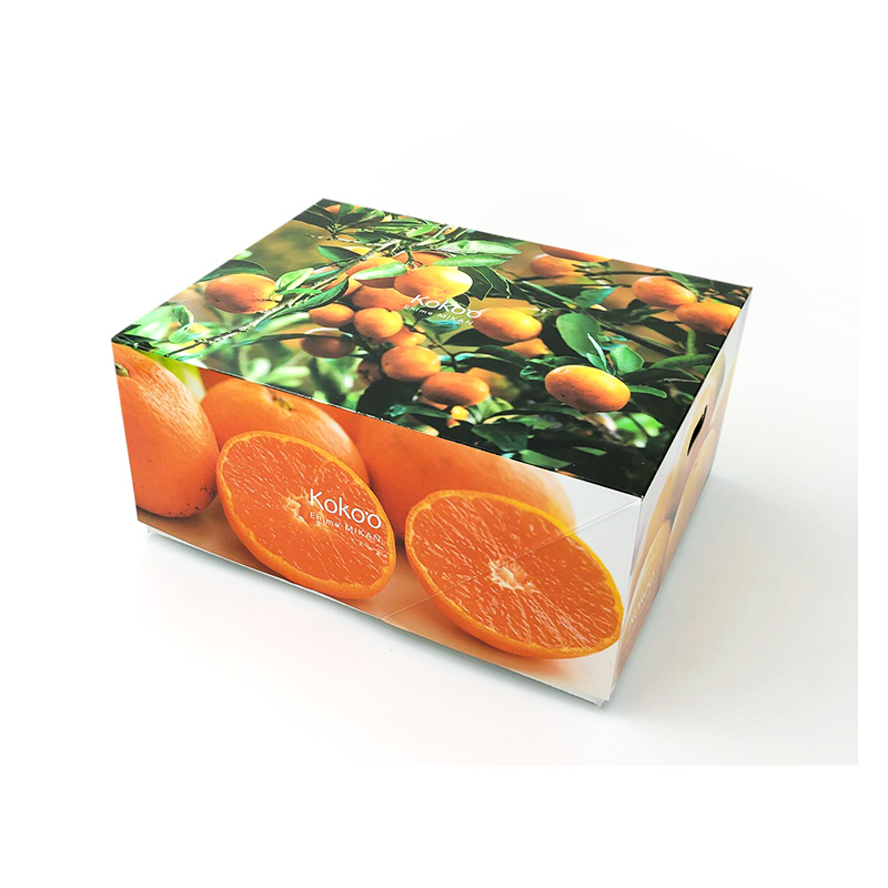  【2026年4月上旬頃から発送】 河内晩柑 秀品 ６玉 ギフトBOX入り 秀品 6玉