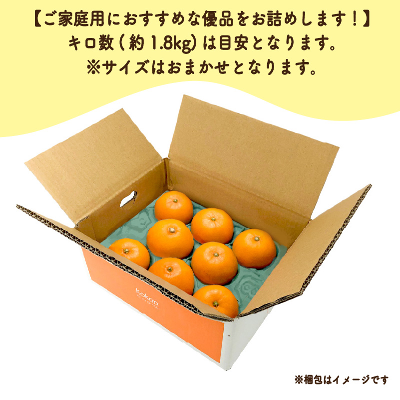 愛果28号 (紅まどんな と同品種) 家庭用(優品) 約 1.8kg 4-9玉 / L-4L 【2025年11月中旬から発送予定】 |  愛媛産 愛媛県産 国産 愛媛みかん 愛媛蜜柑 愛媛ミカン みかん ミカン mikan 蜜柑 柑橘 フルーツ 果物 くだもの お取り寄せ 産地直送 数量限定 人気 おすすめ 愛媛県 松山市 送料無料