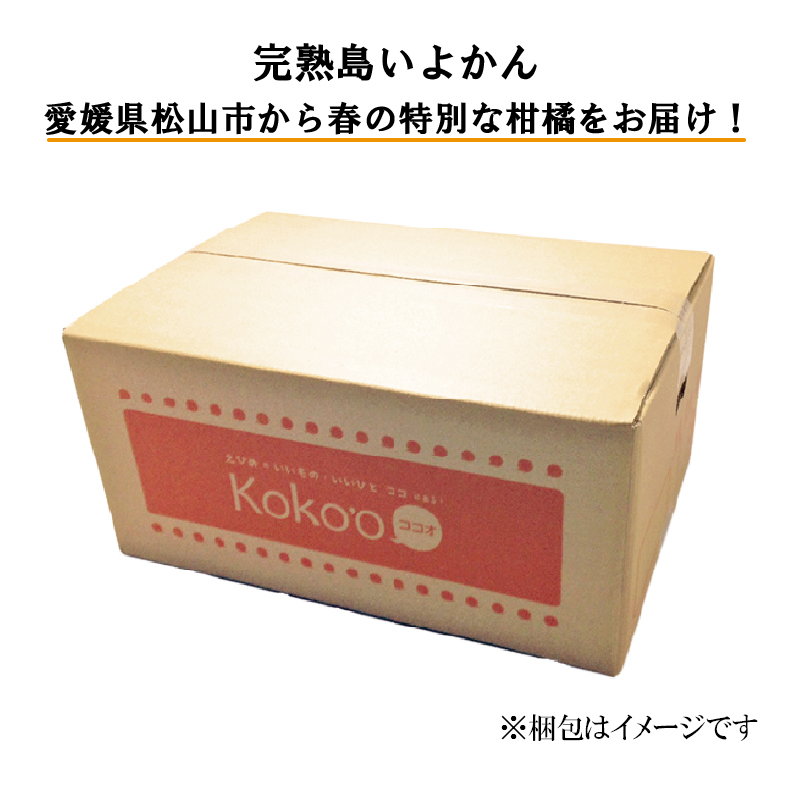 【先行予約】 完熟島いよかん (秀品) 約5kg | いよかん 伊予柑 柑橘 みかん 蜜柑 mikan 檸檬 オレンジ おれんじ かんきつ 【2026年2月上旬頃から発送予定】 愛媛県 松山市 ココオ Koko'o (秀品) 約5kg