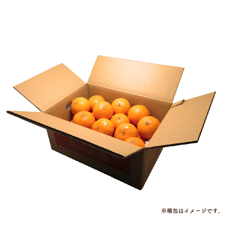 【先行予約】 瀬戸内海の島みかん 家庭用(優品)【石地みかん】約5kg | 柑橘 みかん 密柑 オレンジ フルーツ 果物 愛媛県 松山市 ココオ Koko'o 家庭用 (優品) / 約5kg