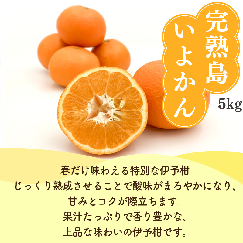 【先行予約】 せとか・完熟島いよかん 食べ比べセット / せとか 3kg 完熟島いよかん 5kg | 柑橘 みかん 蜜柑 mikan かんきつ  愛媛県 松山市 ココオ Koko'o