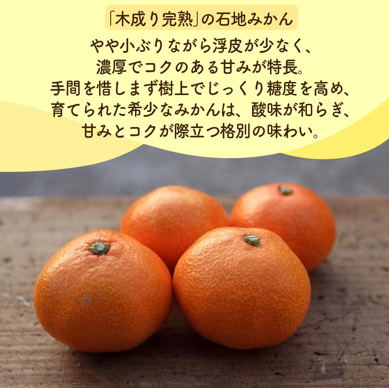 【2026年1月発送予定】 紅まどんな・石地みかん食べ比べセット 【紅まどんな 約3kg】【石地みかん(家庭用・優品) 約5kg】 | 柑橘食べ比べ みかん オレンジ 紅マドンナ 愛果 ミカン mikan 柑橘 かんきつ あいか フルーツ たべくらべ  新鮮 柑橘 ふるーつ 果物 くだもの 期間限定 愛媛県 松山市 ココオ Koko'o