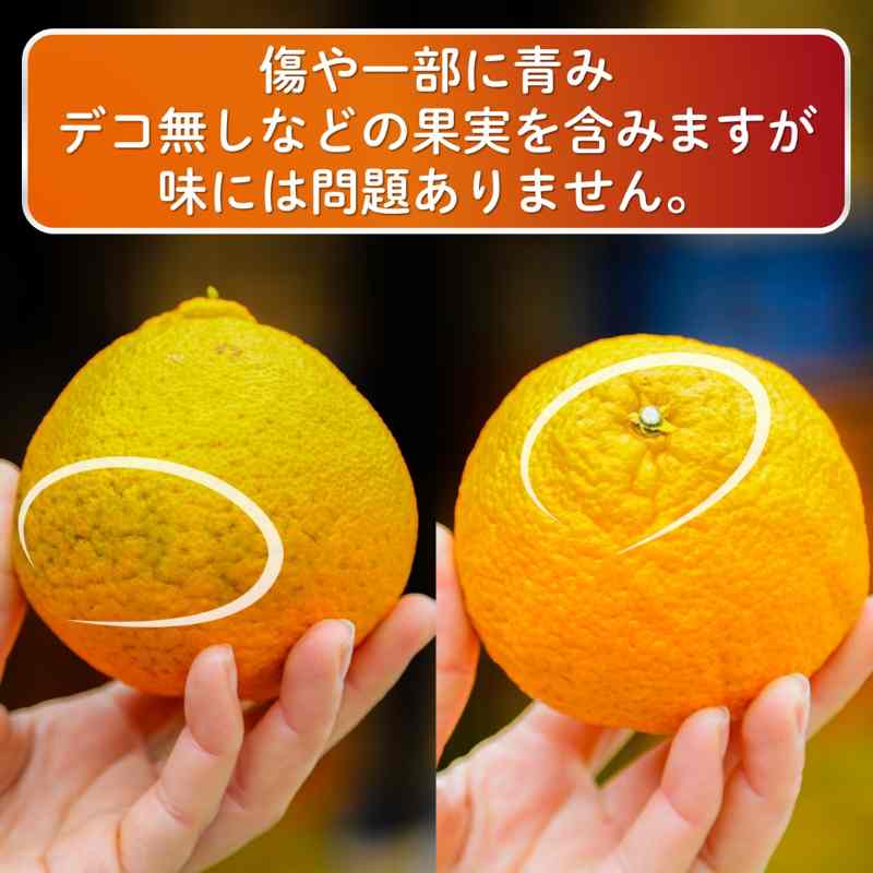 【先行予約】 家庭用 不知火（しらぬい）3kg 光センサー選別 糖度13.5度以上 【2026年2月～3月発送】