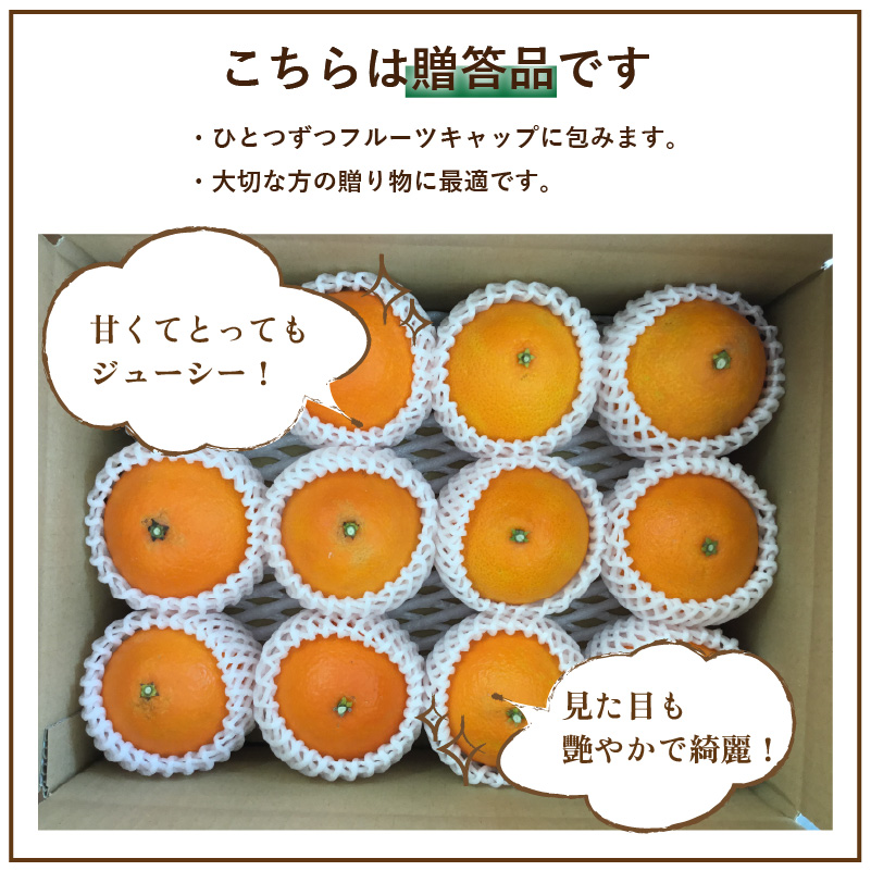愛媛 みかん 愛果28号 贈答用 3kg あいか 【先行予約 2025年12月上旬から発送】 |  紅まどんな と同品種 柑橘 みかん まどんな 柑橘 みかん 果物  おすすめ 高級 人気 お取り寄せ グルメ ギフト ご当地 送料無料 愛媛県 松山市 贈答用 3kg
