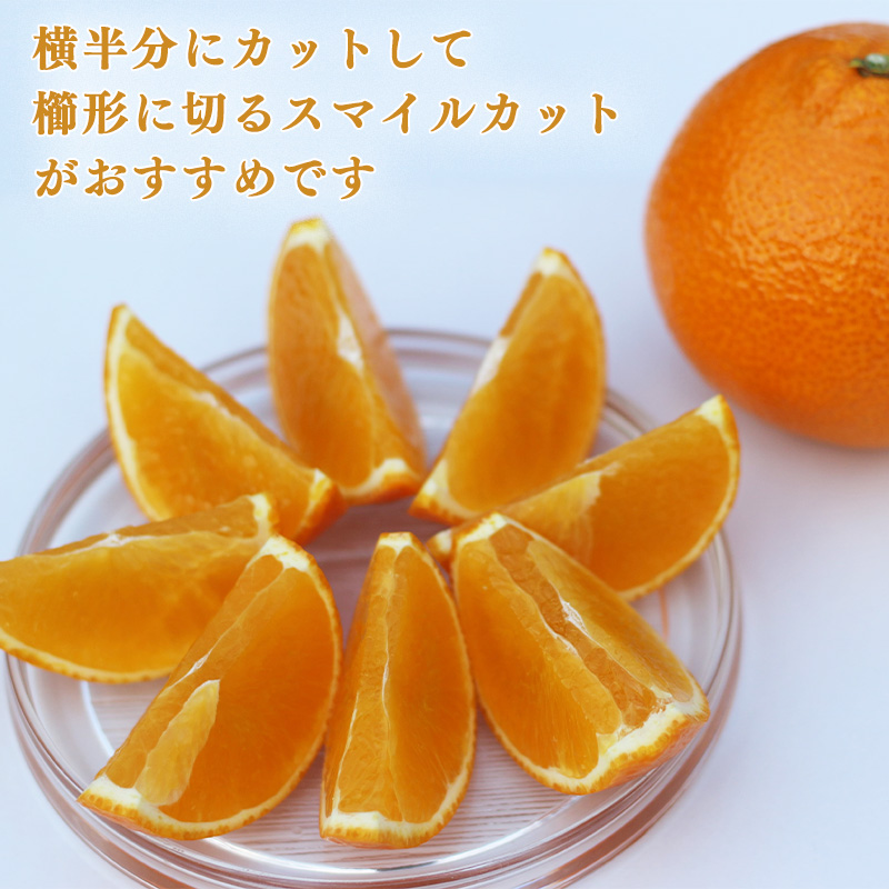 ※先行予約 あいか 3kg 贈答用