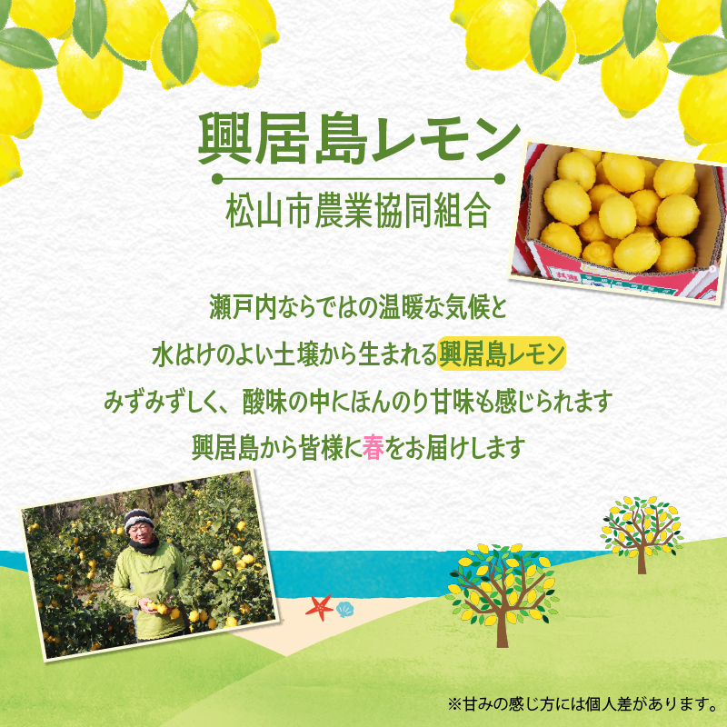 興居島レモン 10kg  【2026年4月上旬より発送】 | 国産 愛媛 れもん レモン lemon 青果 フルーツ 果物 くだもの 期間限定 数量限定 人気 おすすめ 愛媛県 松山市 ブランド 興居島 送料無料