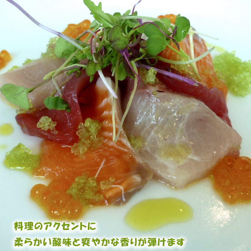 【順次発送中】フィンガーライム 50g 愛媛県 中島産| ライム 酸味 さっぱり 添え物 料理 チューハイ アルコール 炭酸 飲み物 飲料 産地直送 国産 愛媛 松山