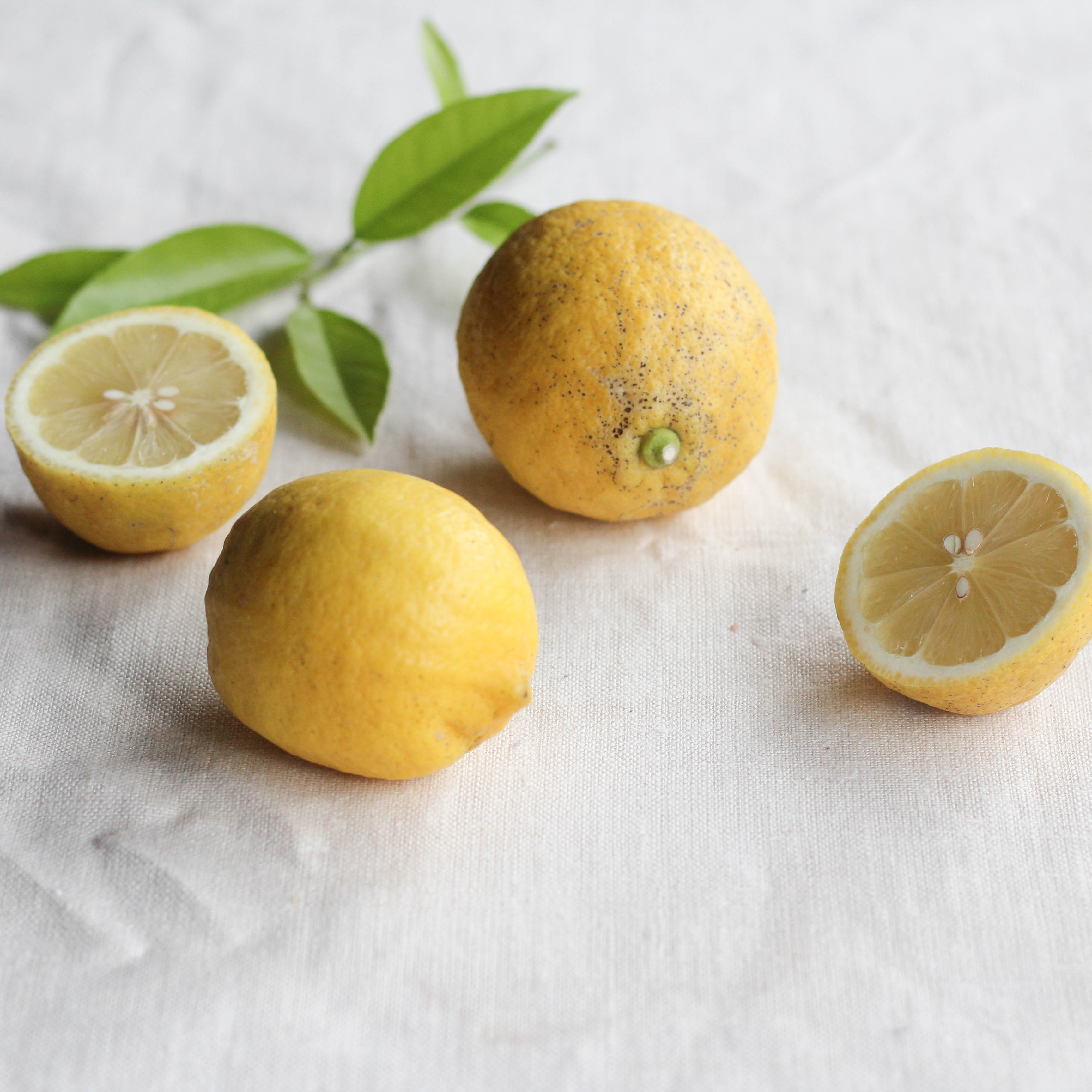 【2025年11月から発送】 レモン 2kg ( 14- 18玉 ) 檸檬 数量限定 愛媛県産 松山市 中島 2kg