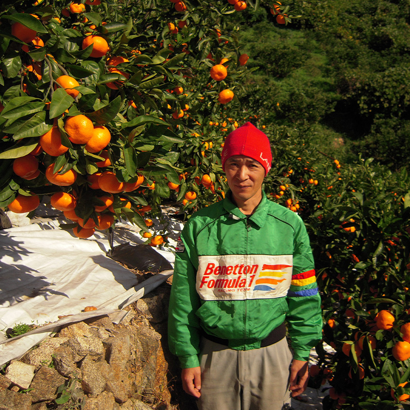 柑橘ジュース 720ml × 2本 愛果28号 不知火 詰め合わせ 【宇川農園】