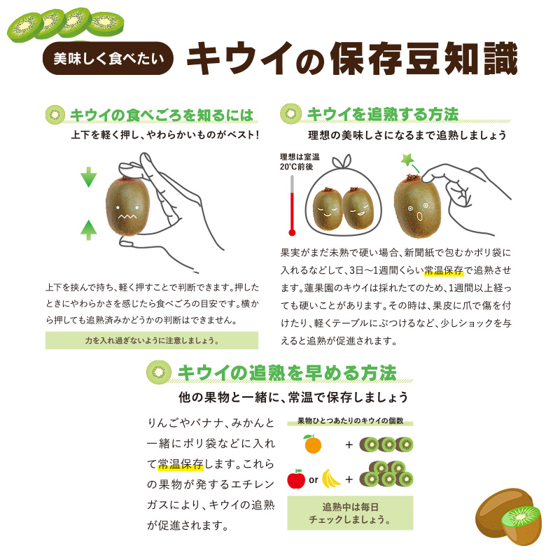 【先行予約】【2025年11月上旬から発送】キウイフルーツ ヘイワード 約10㎏ 大中小サイズ混合 家庭用 | 松山市産 キウイ 果物 くだもの  フルーツ おすすめ 人気  お取り寄せ 期間限定 数量限定 ご当地 愛媛県 松山市 10kg