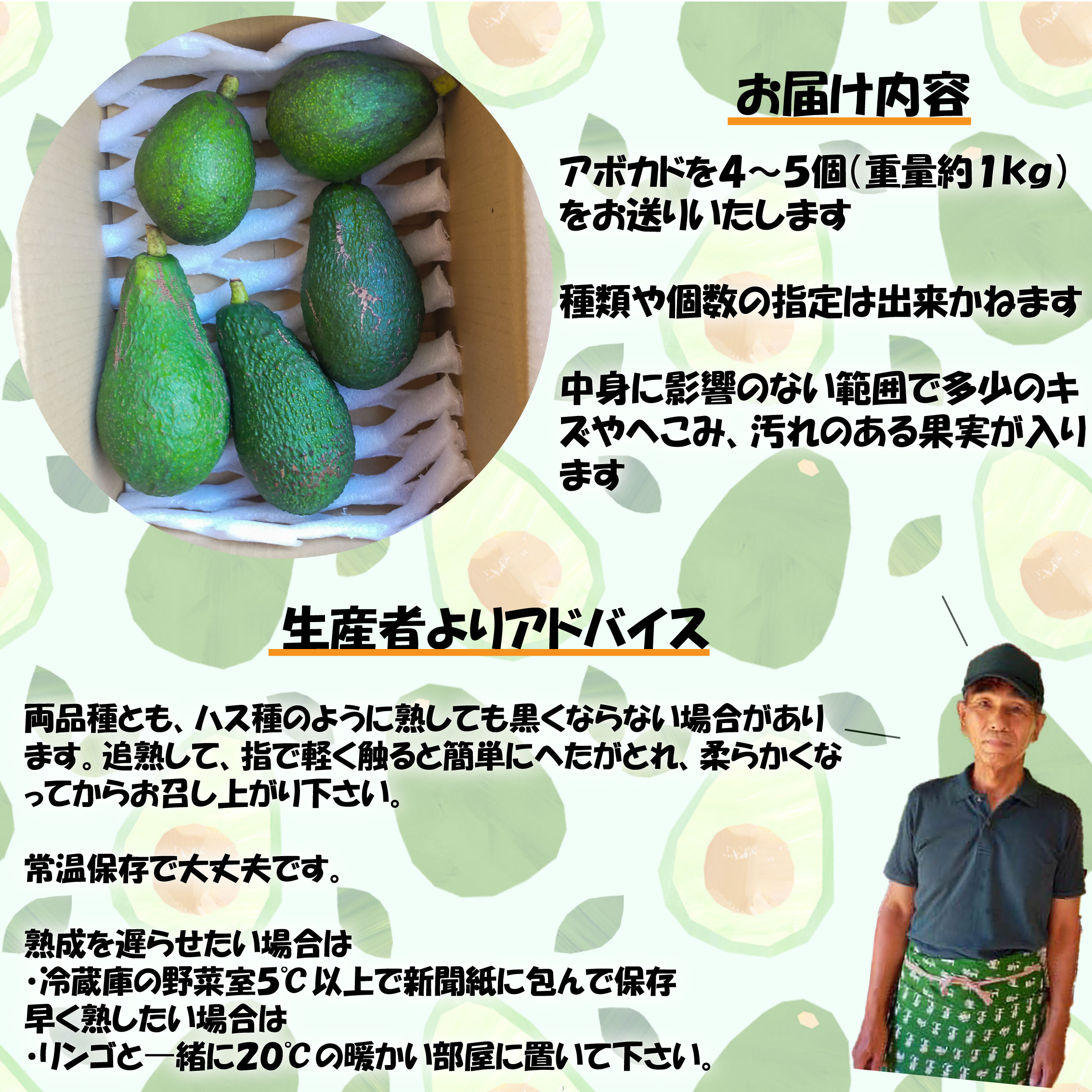 ＜期間限定！12月10日以降発送予定＞松山市産 アボカド 約1kg 愛媛県 松山市 果物 野菜