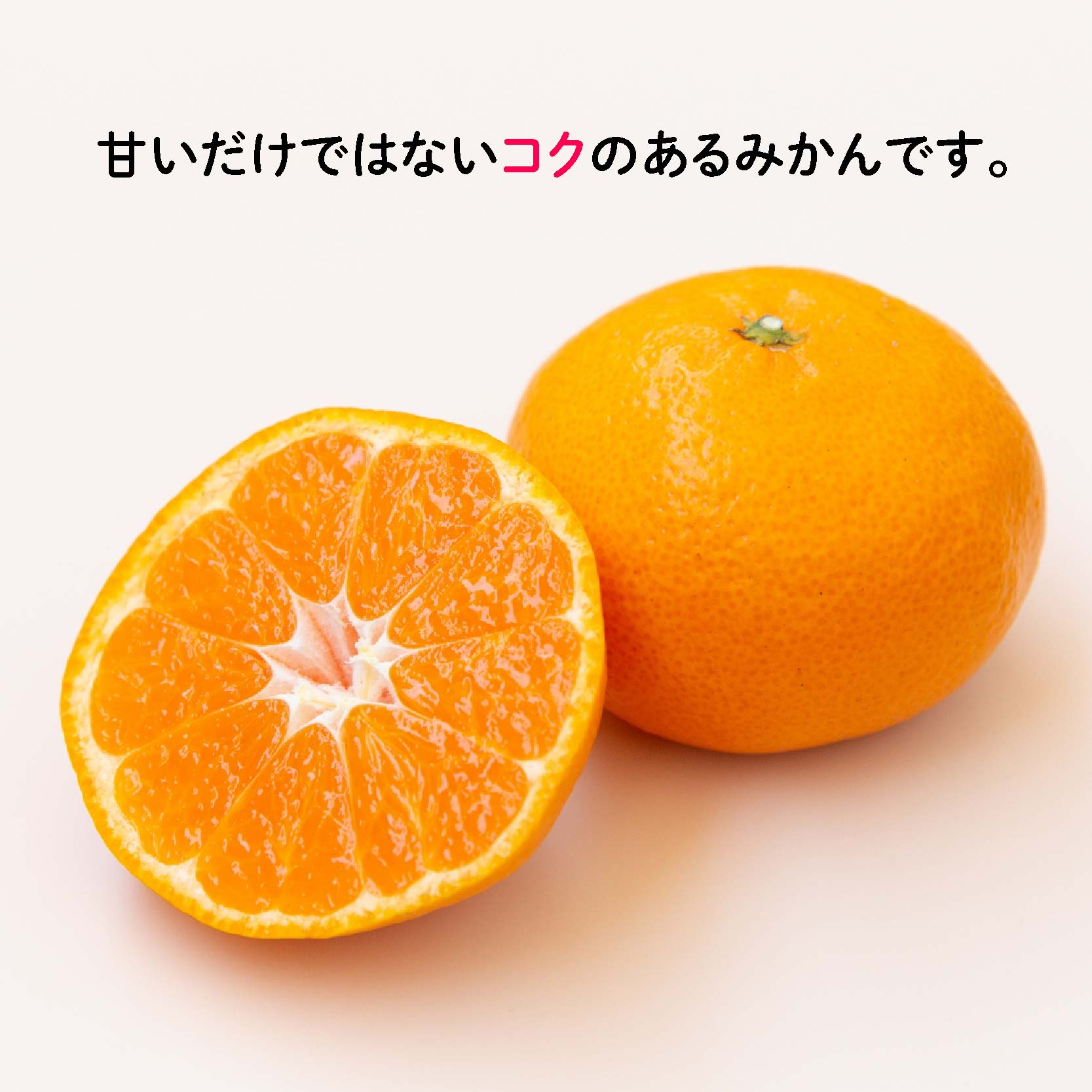 【11月中旬から順次発送】甘こく愛媛みかん 瀬戸内の太陽と潮風で育ったご家庭用 5kg | 蜜柑 みかん 愛媛 松山 フルーツ 果物 くだもの 数量限定 期間限定 送料無料 おすすめ人気 約5kg ¥14,000