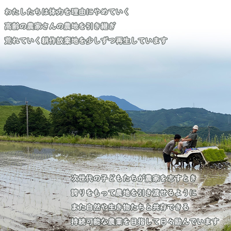 【先行予約】 野菜 米 セット カレー用 農薬不使用 自然栽培 | お米 野菜 里芋 玉ねぎ 人参 さつまいも 農薬 不使用 カレー カレーライス 期間限定 愛媛県 松山市