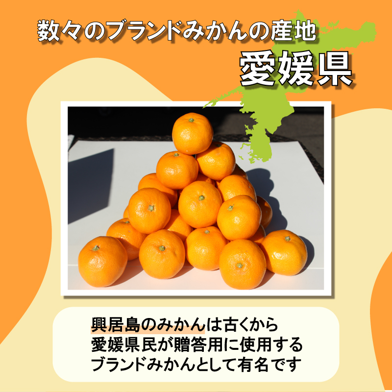 【年内発送】【2025年発送】 興居島みかん 約3kg（L～Sサイズ） みかん 柑橘 興居島 ごごしま ブランド 愛媛県 松山市 3kg(1ケース)