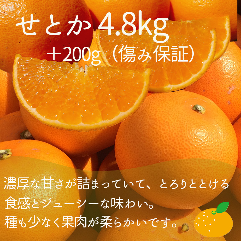 【2025年12月上旬から発送】【定期便 全3回】旬の愛媛三大高級柑橘 家庭用 愛果28号 せとか 甘平 | 柑橘 みかん 果物 くだもの フルーツ おすすめ 高級 人気 お取り寄せ グルメ ギフト 期間限定 数量限定 ご当地 愛媛県 松山市