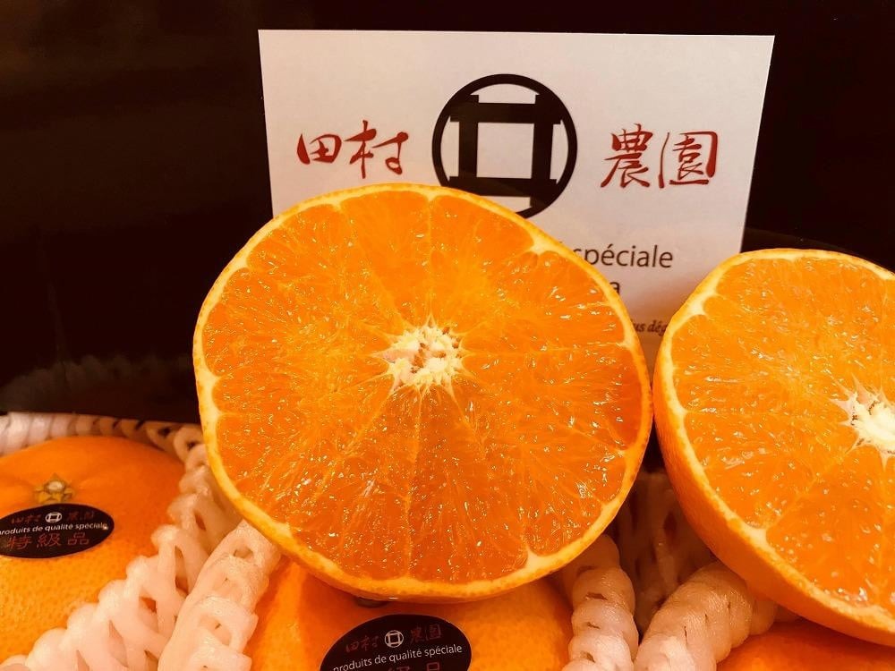 特級品 愛果28号 (紅まどんな と同品種) 4.5kg 【2025年12月上旬から発送】 | 紅まどんな と同様 みかん 柑橘 愛果28号 あいか 果物 フルーツ 松山市 愛媛県 田村農園 柑橘 くだもの フルーツ おすすめ 高級 人気 お取り寄せ グルメ ギフト 期間限定 数量限定 愛媛県 松山市